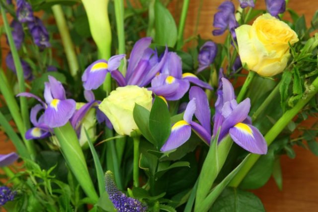 Irises and roses